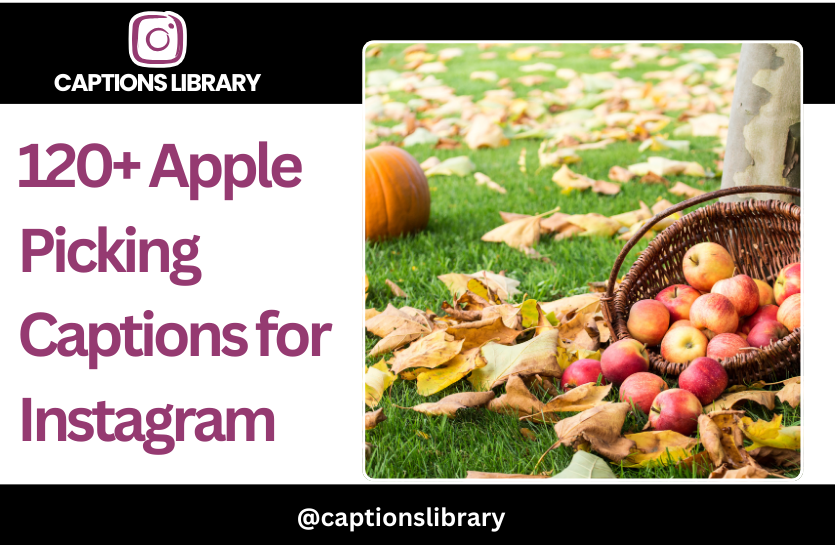 120+ Apple Picking Captions for Instagram (1)