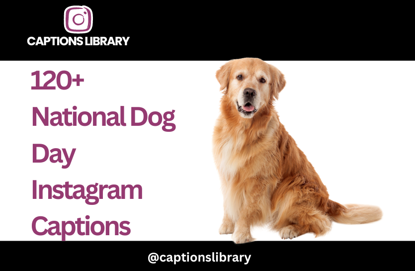 120+ National Dog Day Instagram Captions