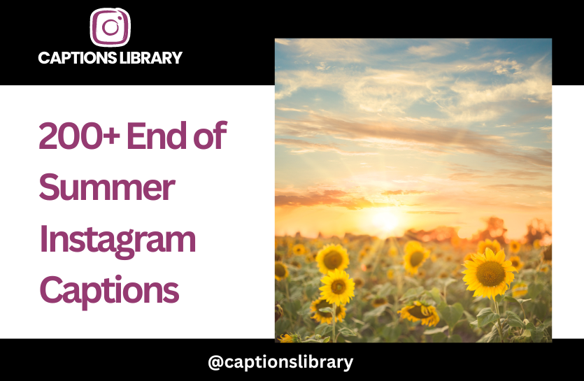 200+ End of Summer Instagram Captions