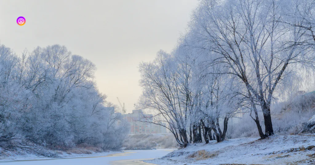 "December Captions embracing the magic and coziness of the season."