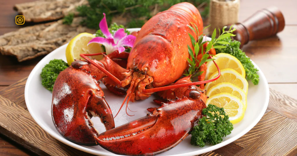 "Lobster captions for Instagram showcasing delicious seafood dishes."